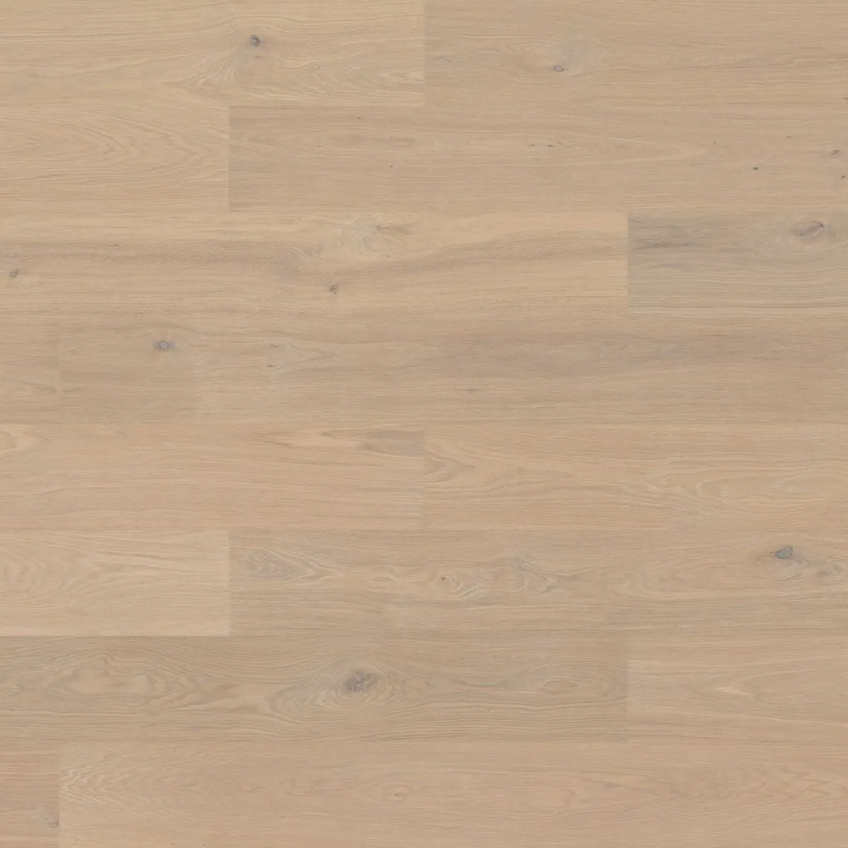 Woodura Planks VIARP 3.0 XXL by Bjelin
