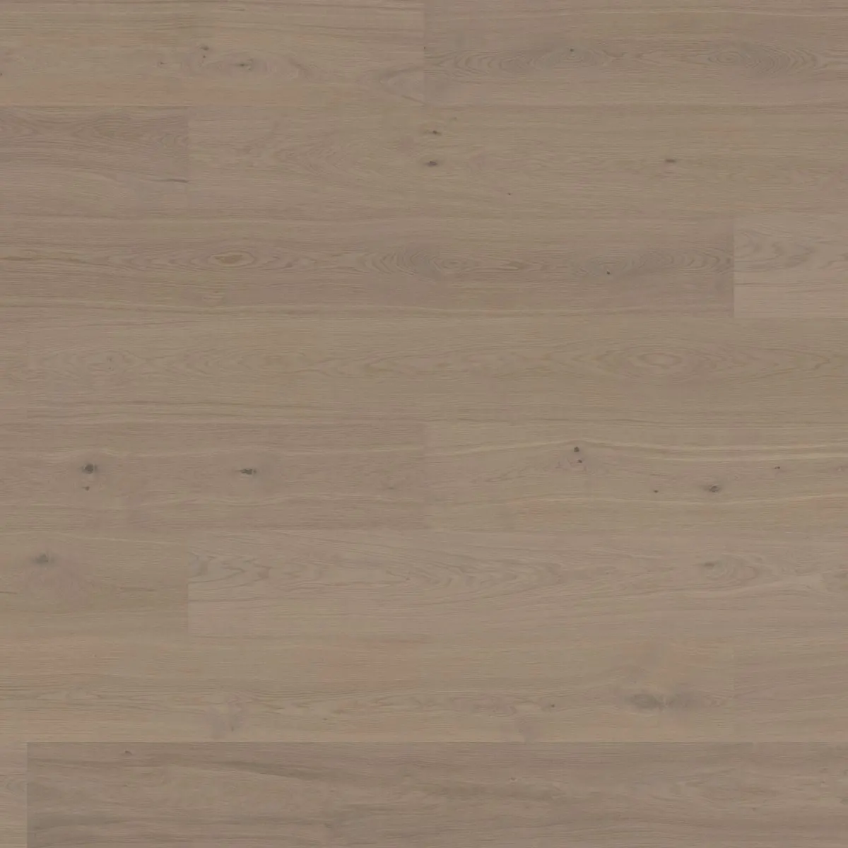 Woodura Planks STEHAG 3.0 XXL by Bjelin