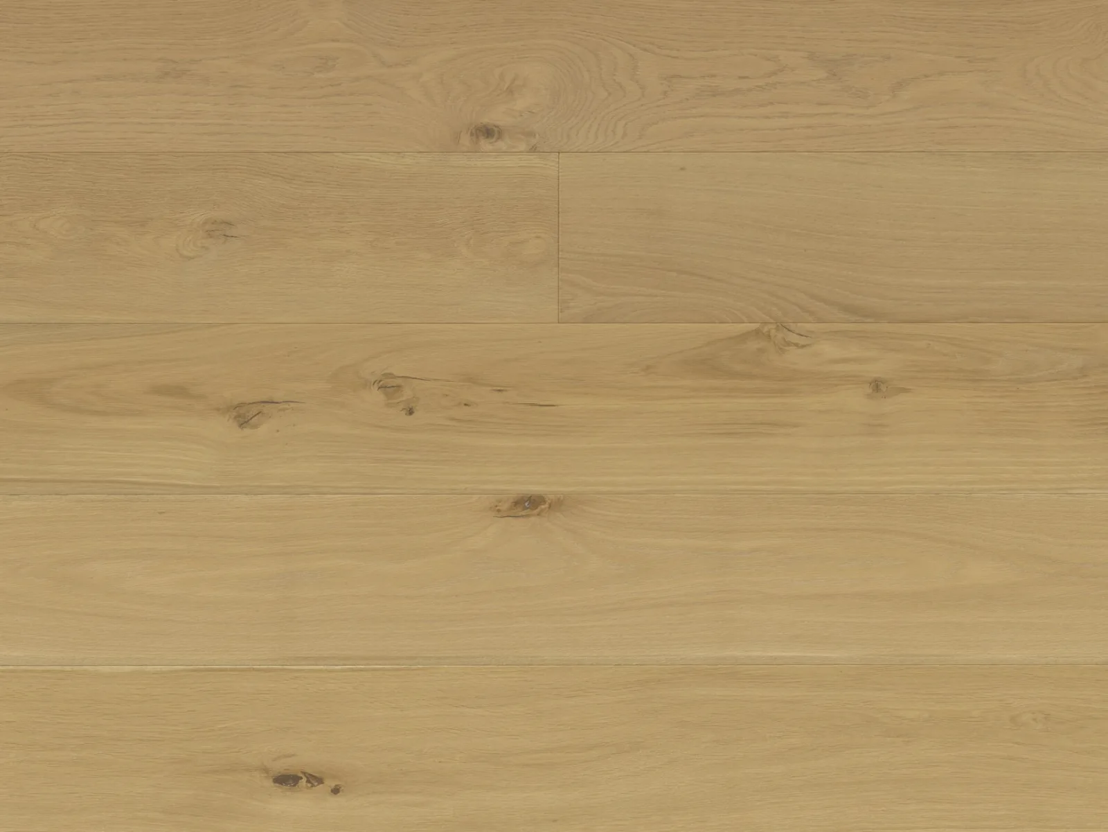 Terreno EURO OAK CONTE by Reward Flooring