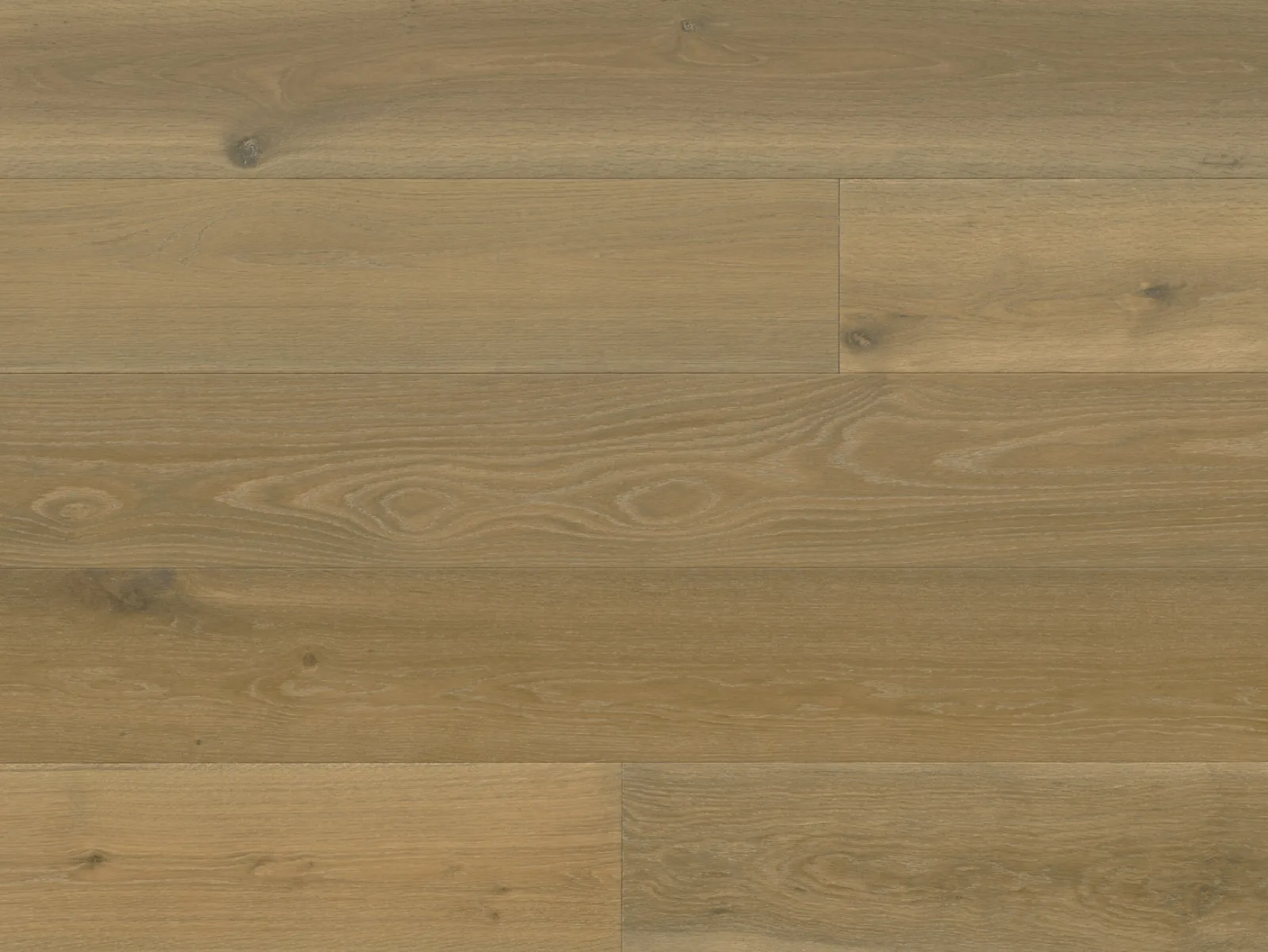 Terreno EURO OAK NERA by Reward Flooring