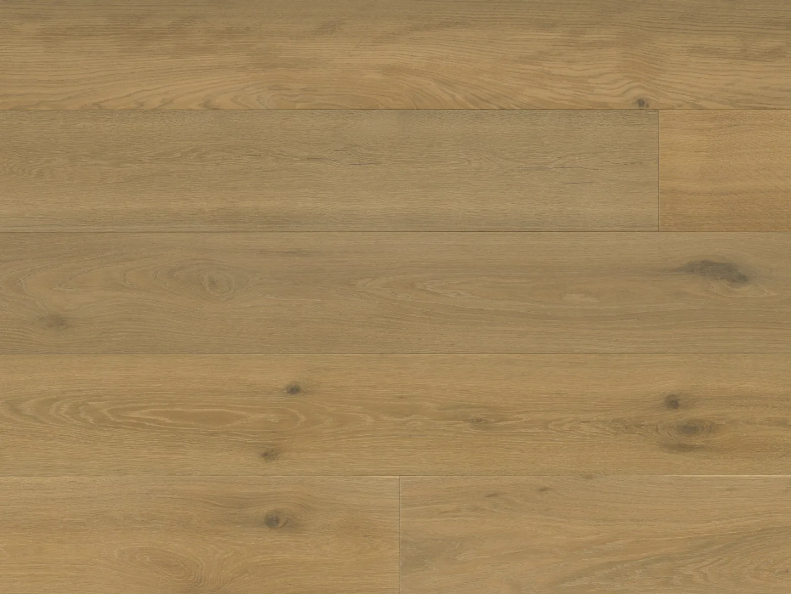 Terreno EURO OAK SILA by Reward Flooring